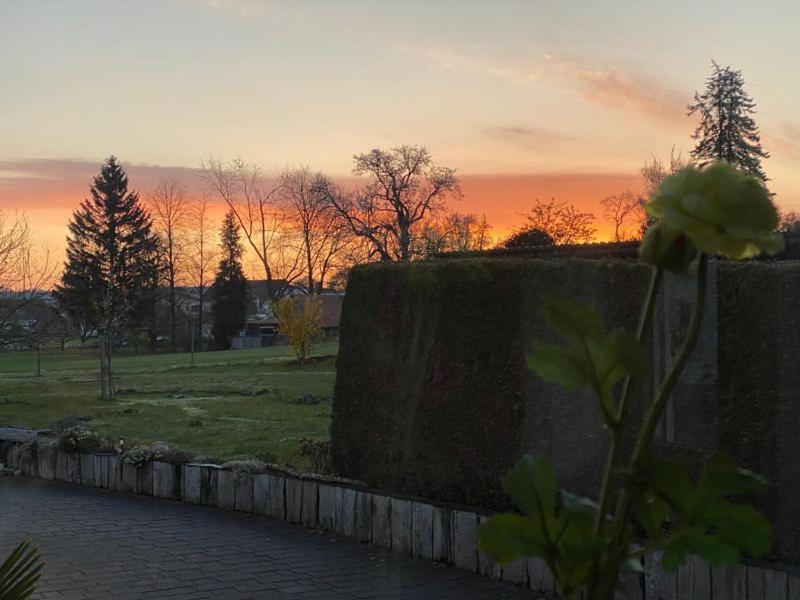 Ferienwohnung Roth, Unlingen Экстерьер фото